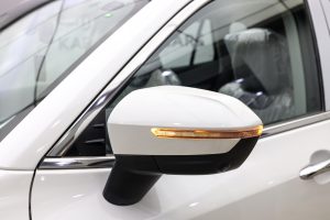 فورد تيريتوري تيتانيوم 2025