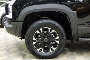 بي واي دي شارك 6 بريميوم 2026