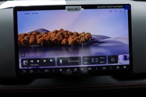 بي واي دي شارك 6 بريميوم 2026