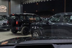 بي واي دي شارك 6 بريميوم 2026